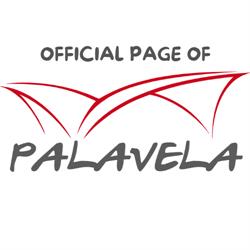 Comitato Per La Gestione Del Palavela