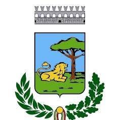 Comune Di Alfonsine
