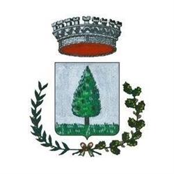 Comune Di Alpignano