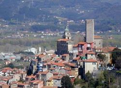 Comune Di Arcola