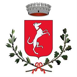 Comune Di Campiglia Marittima