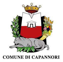 Comune Di Capannori