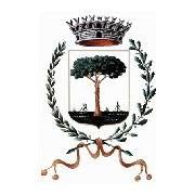 Comune Di Carpenedolo