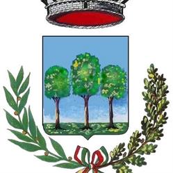 Comune Di Carpineto Romano