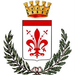 Comune Di Castelfiorentino