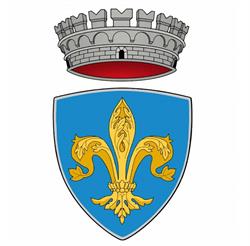 Comune Di Castiglion Fibocchi