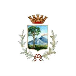 Comune Di Cercola