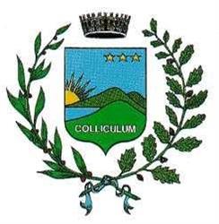 Comune Di Collecchio