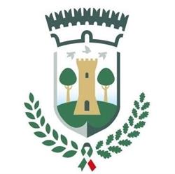 Comune Di Collesalvetti