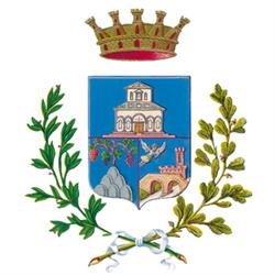 Comune Di Empoli