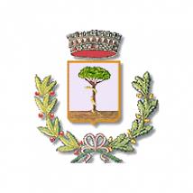 Comune Di Frattaminore