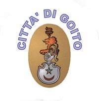 Comune Di Goito
