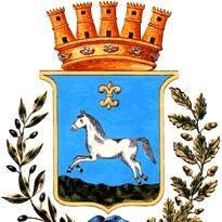 Comune Di Martina Franca