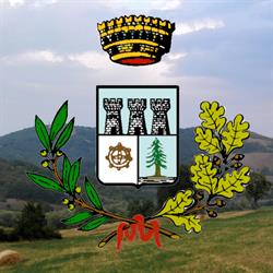 Comune Di Medesano