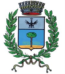 Comune Di Misinto