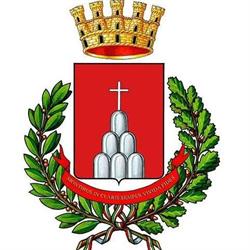 Comune Di Montichiari