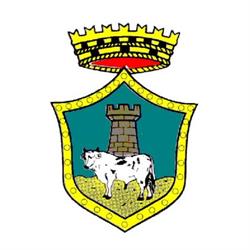 Comune Di Notaresco