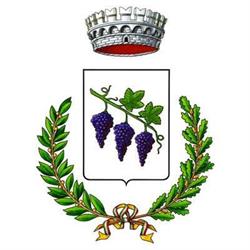 Comune di Novoli