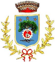 Comune Di S.Elia Fiumerapido
