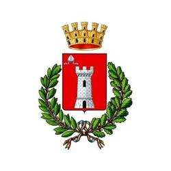 Comune Di San Mauro Torinese