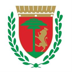 Comune Di San Remo