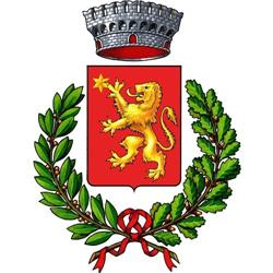 Comune Di Sarteano