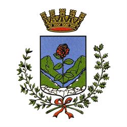 Comune Di Seravezza