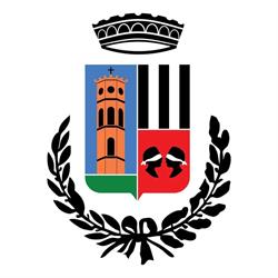 Comune Di Serramanna