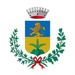 Comune Di Tavagnacco