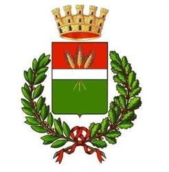 Comune Di Trentola-Ducenta