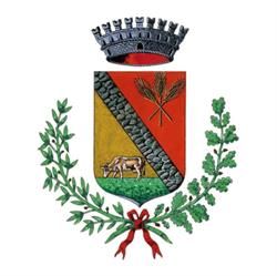 Comune Di Treppo Grande