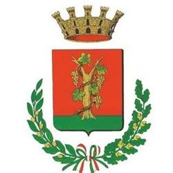 Comune Di Vignola