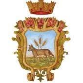 Comune Di Villaricca