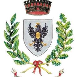 Comune S.Salvatore Di Fitalia