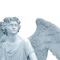 Comunita' Don Luigi Coop.sociale Dell'aravecchia R.l.