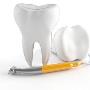 Dentista Concari Dott. Paolo