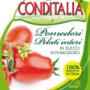 Nuovo Logo Conditalia S.p.a.