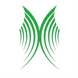 Consorzio Artigiano Edile Comiso