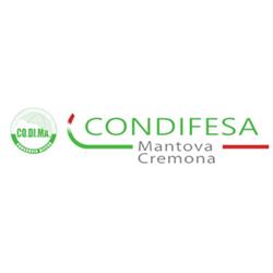 Codima