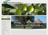 Consorzio Nazionale Olivicoltori