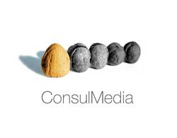 Consulmedia SRL