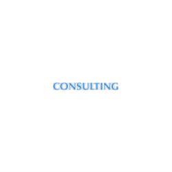 Consulting Srl