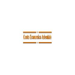 Conto Economico Aziendale