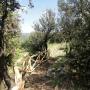 Lavori Agro-Forestali