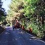 Lavori Agro-Forestali