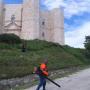 Lavori Agro-Forestali