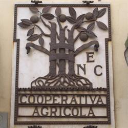 Coop.agr.di Consumo
