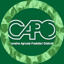 Cooperativa Agricola Produttori Ortofrutticoli SOC. COOP. R.l.