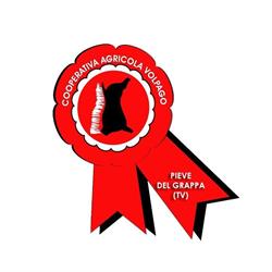 Cooperativa Agricola Volpago Soc.Coop. A R.L.