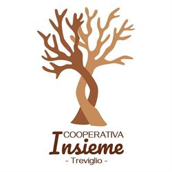 Cooperativa Insieme (Srl)